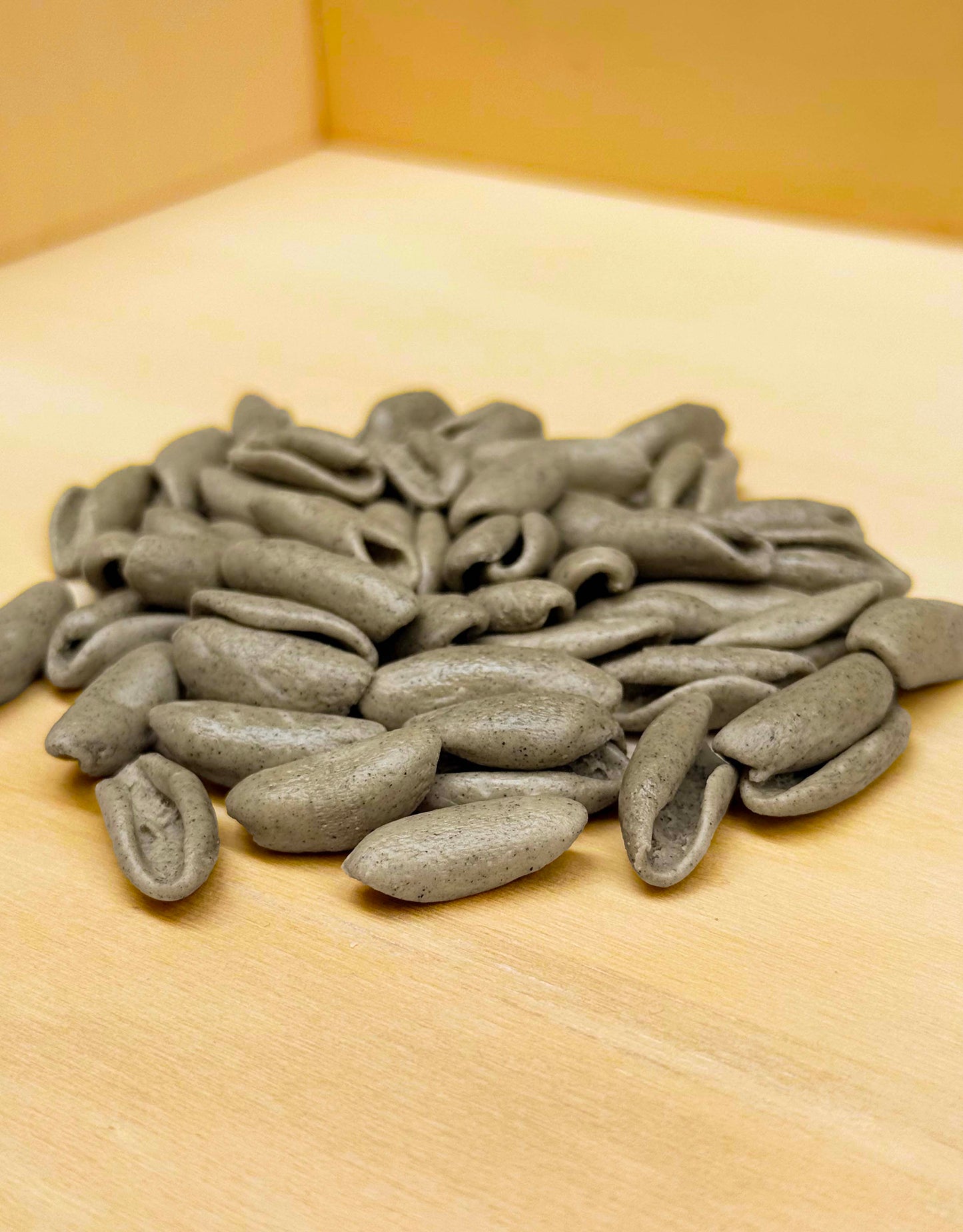 Cavatelli with burnt wheat