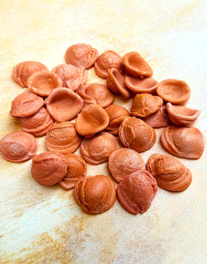Tomato Orecchiette